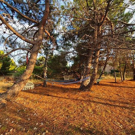 Apartmani Bellevue Vir Exterior photo
